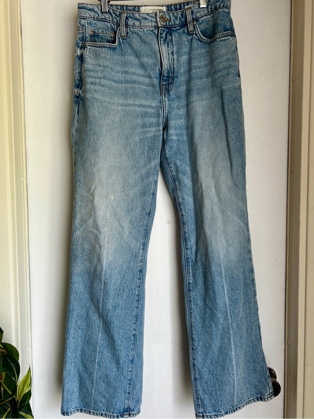 Dynamite Cara Jeans